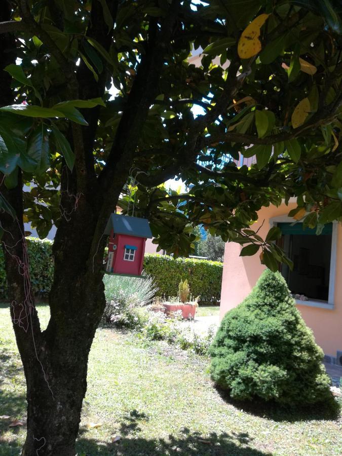 La Moia Bed and Breakfast Cerete Buitenkant foto