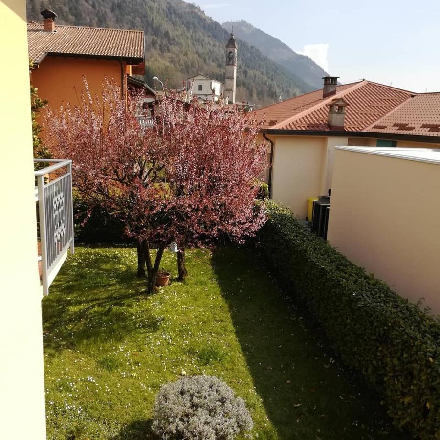 La Moia Bed and Breakfast Cerete Buitenkant foto