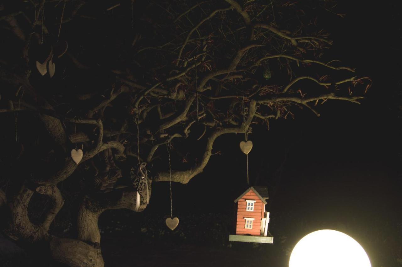 La Moia Bed and Breakfast Cerete Buitenkant foto