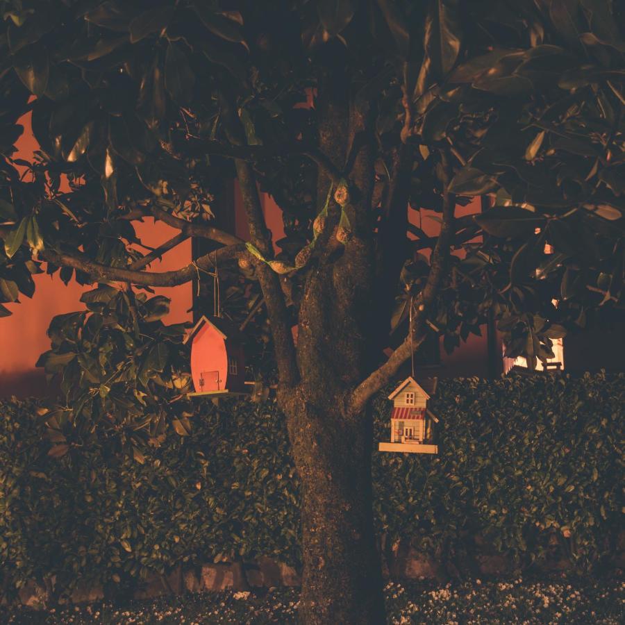 La Moia Bed and Breakfast Cerete Buitenkant foto