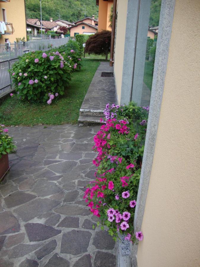 La Moia Bed and Breakfast Cerete Buitenkant foto